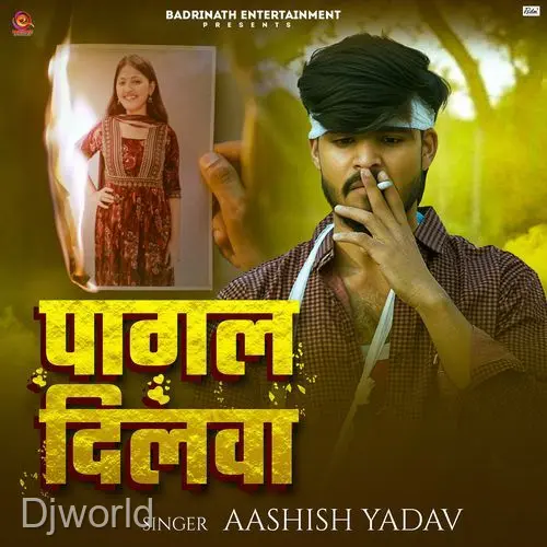 Pagal Dilwa