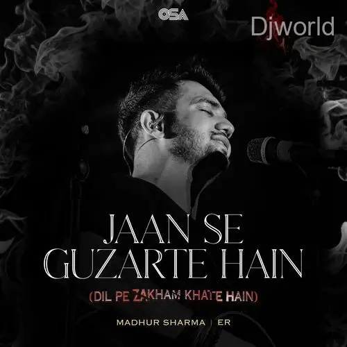 Jaan Se Guzarte Hain (Dil Pe Zakham Khate Hain)